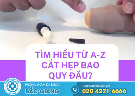 tim-hieu-tu-a-z-cat-hep-bao-quy-dau